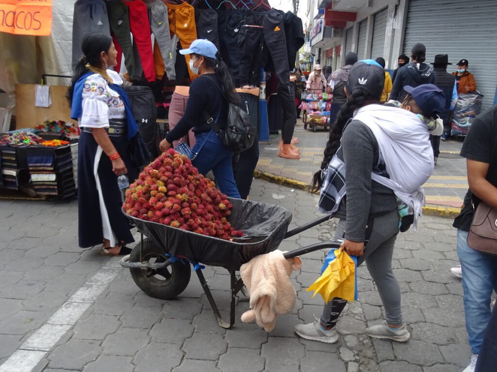 Selling fruit with the family