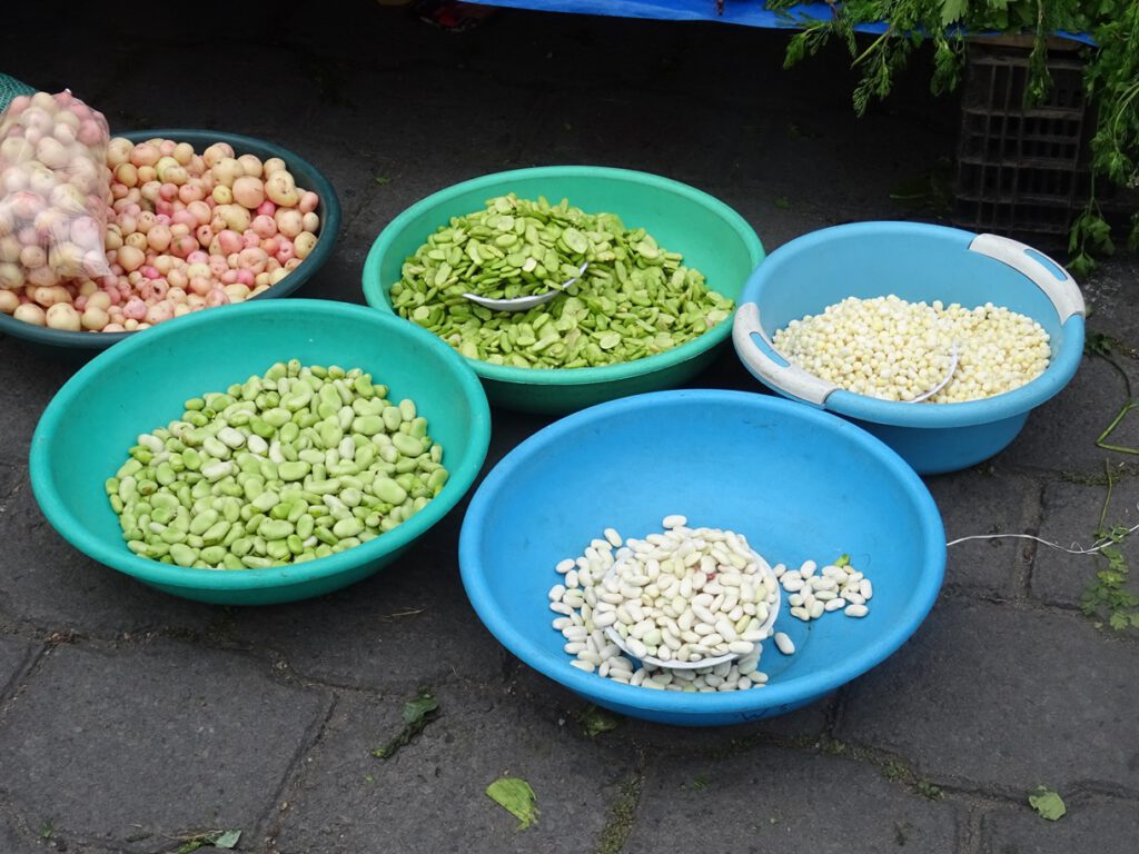 Selection of beans in Otavalo