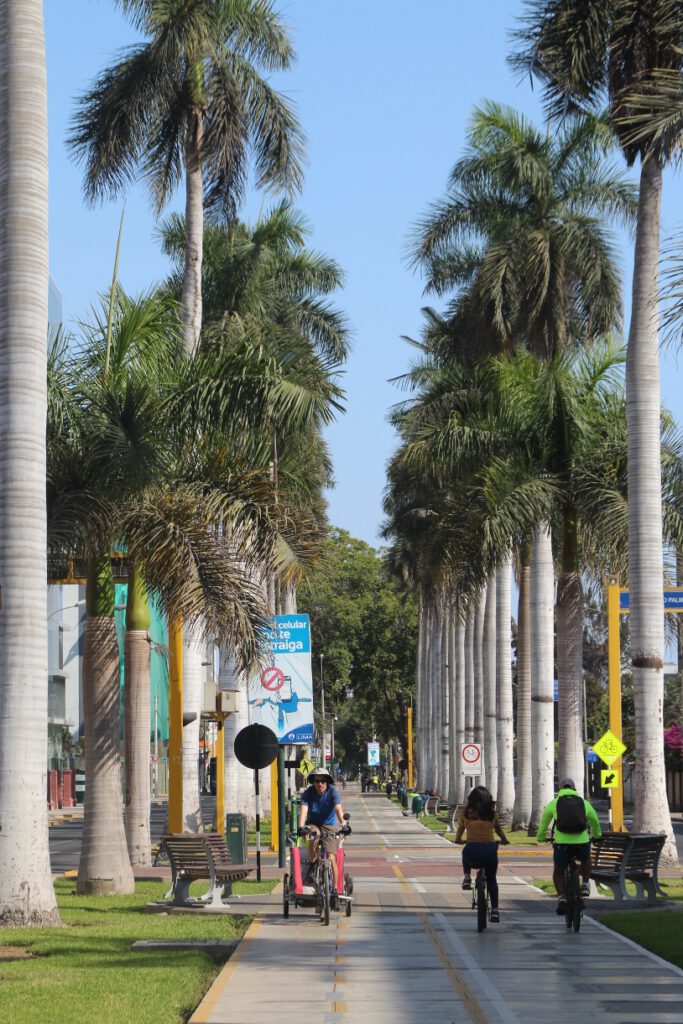 Lima cycle lane