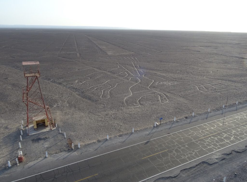 Nasca Line the tree