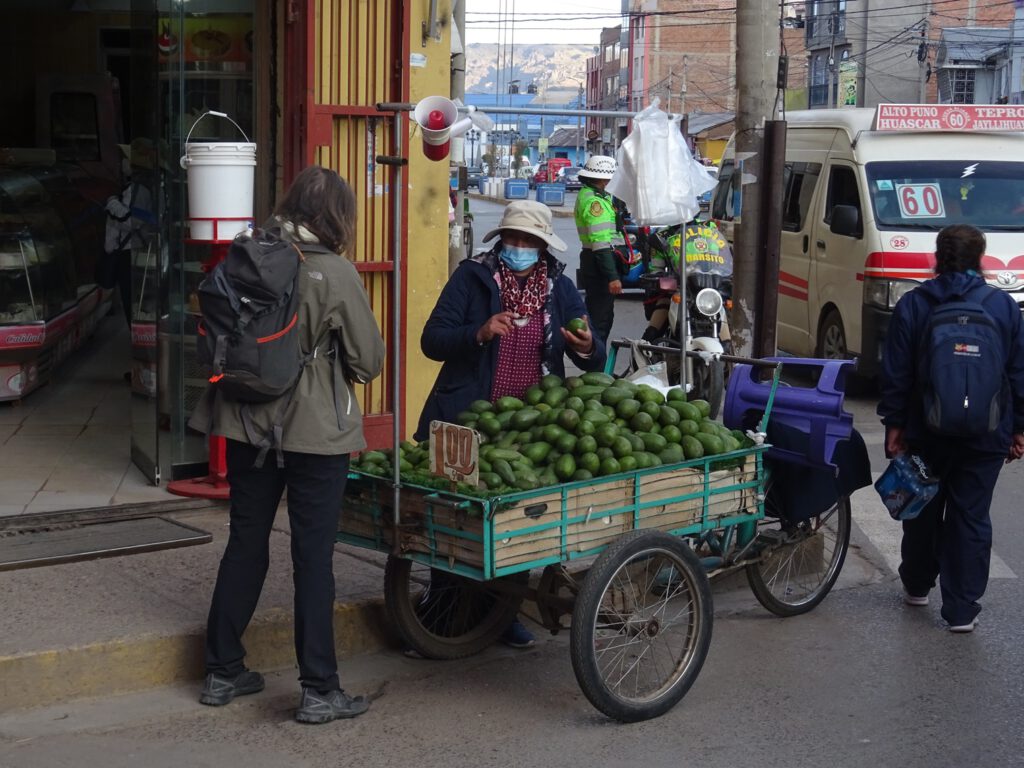 Avocados in Puno