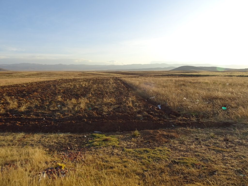 Altiplano from our camping spot