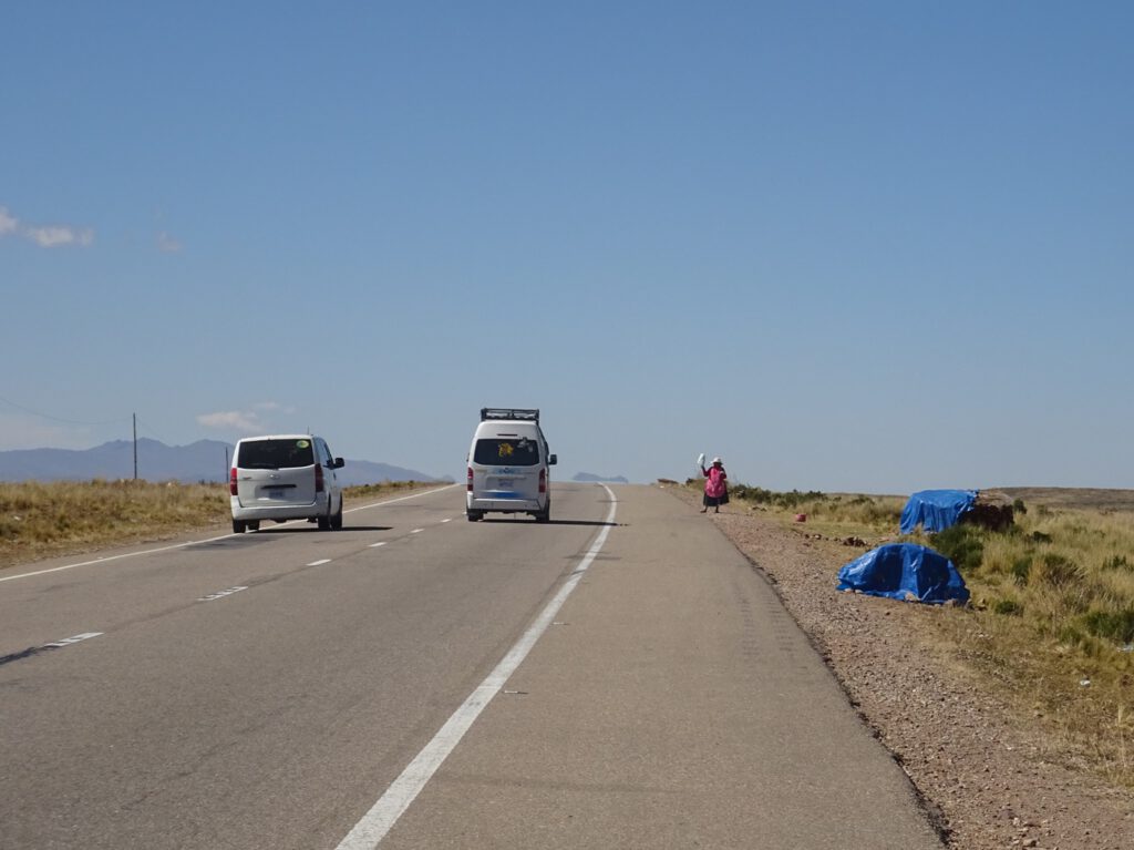 Roadside sellers