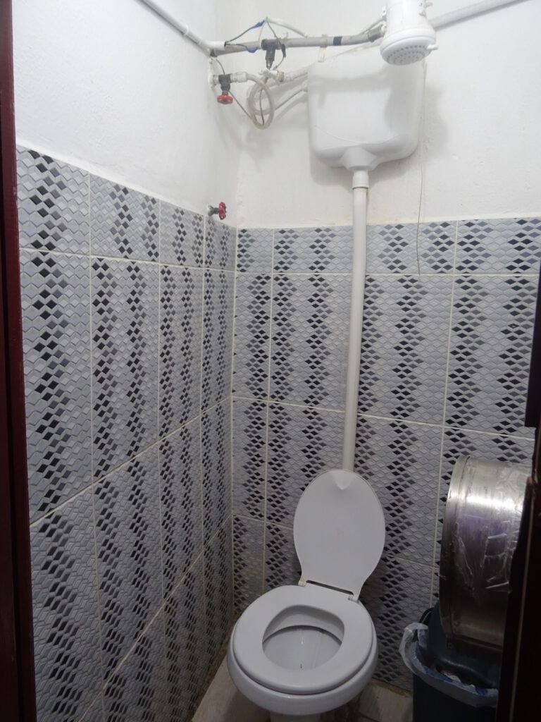 Toilet and shower together