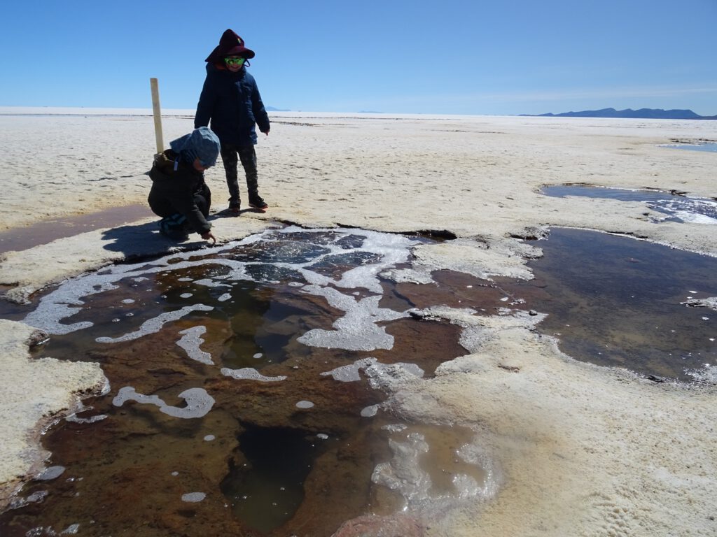 Ojos del Salar