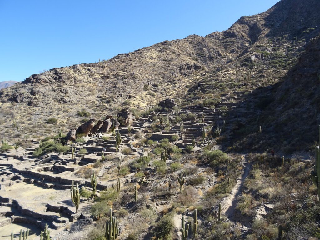 Quilmes overview