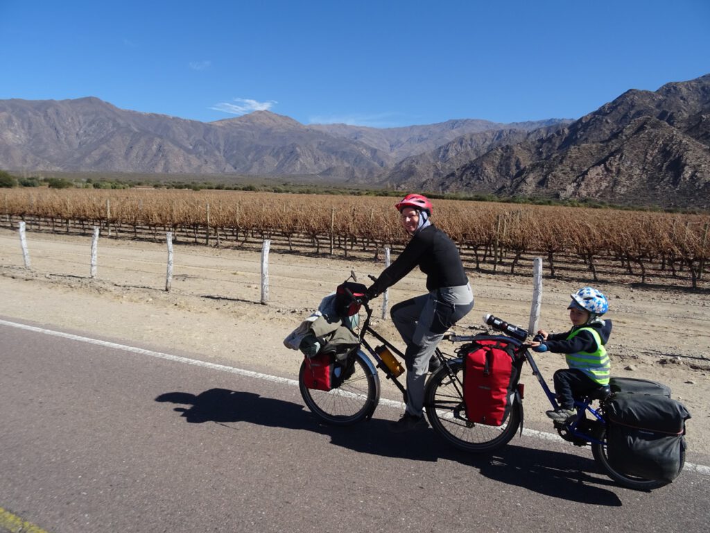 Vineyards everywhere in Cafayate